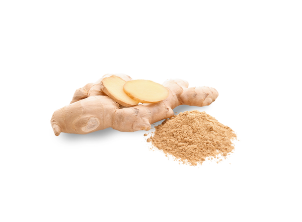 Ginger